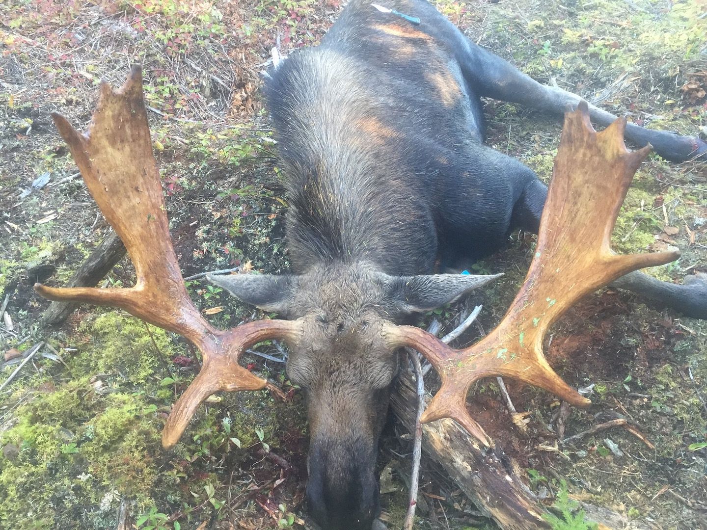 New Brunswick Hunting Forum